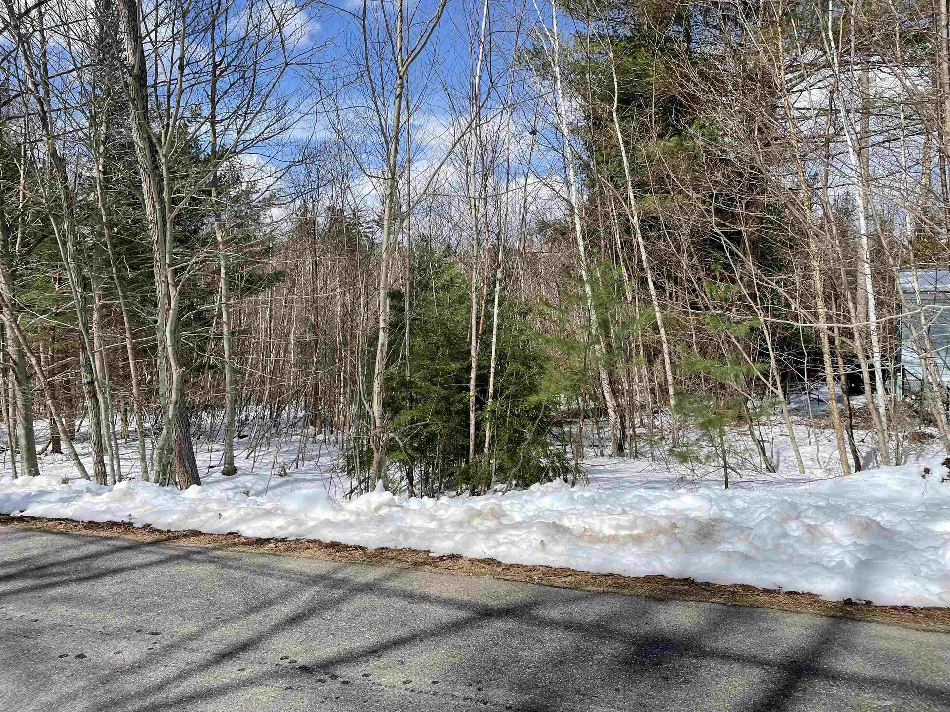 0 Pleasant Street Bristol NH 03222