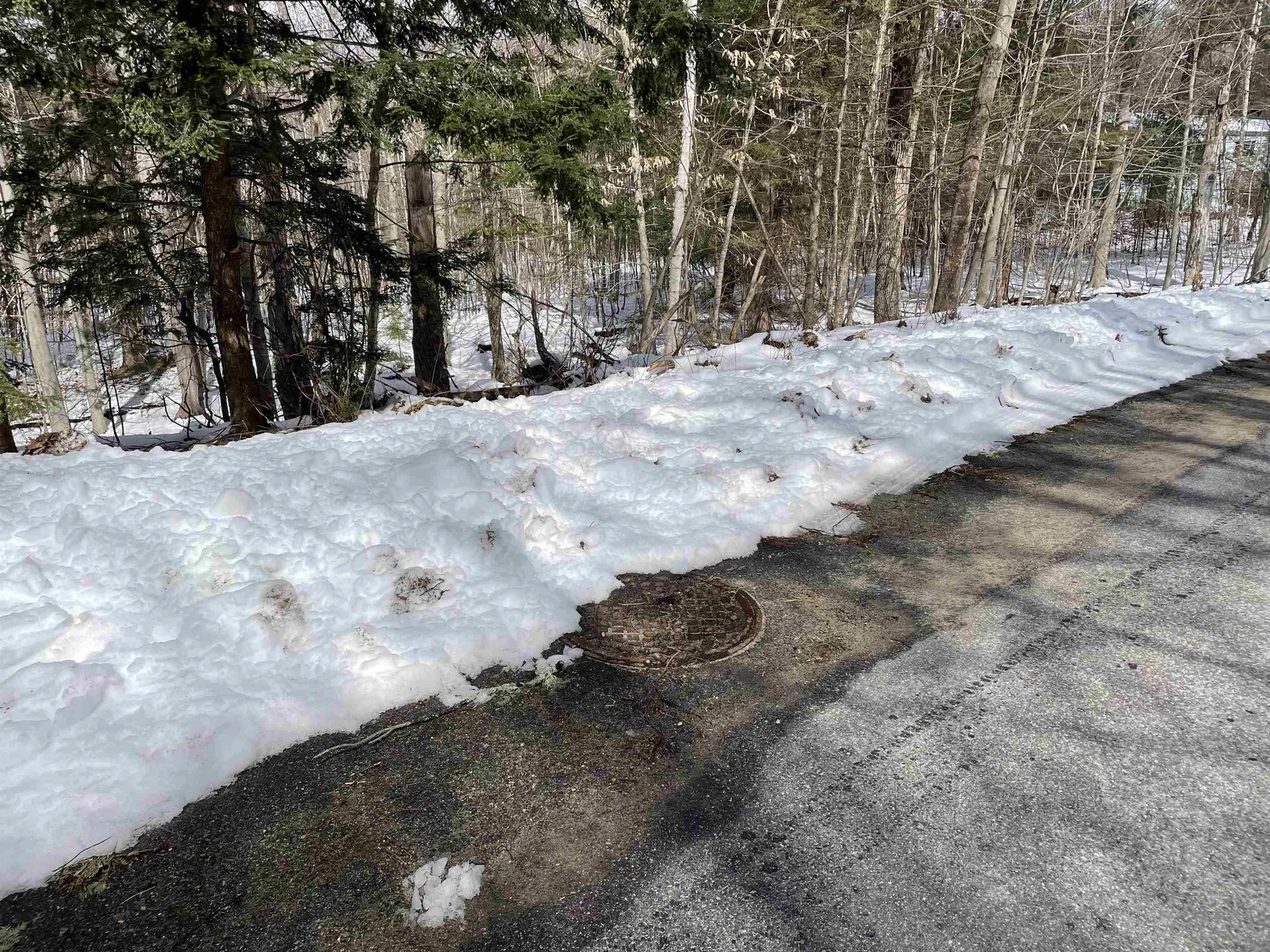 0 Pleasant Street Bristol NH 03222