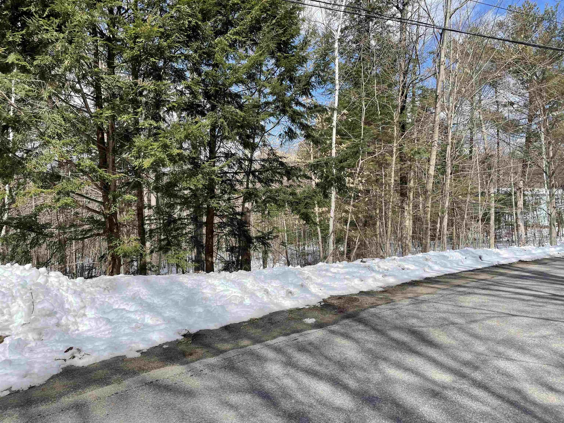 0 Pleasant Street Bristol NH 03222