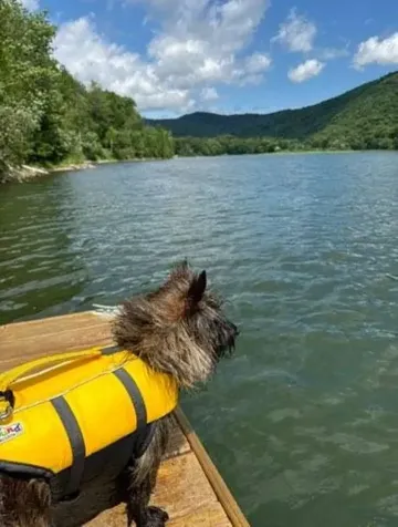 1583 Route 100 Plymouth VT 05056