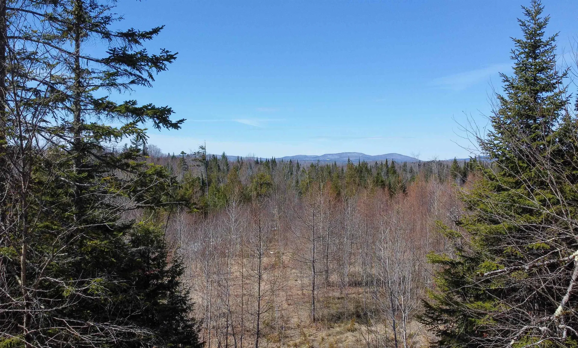 0 Burke Green Road Burke VT 05832