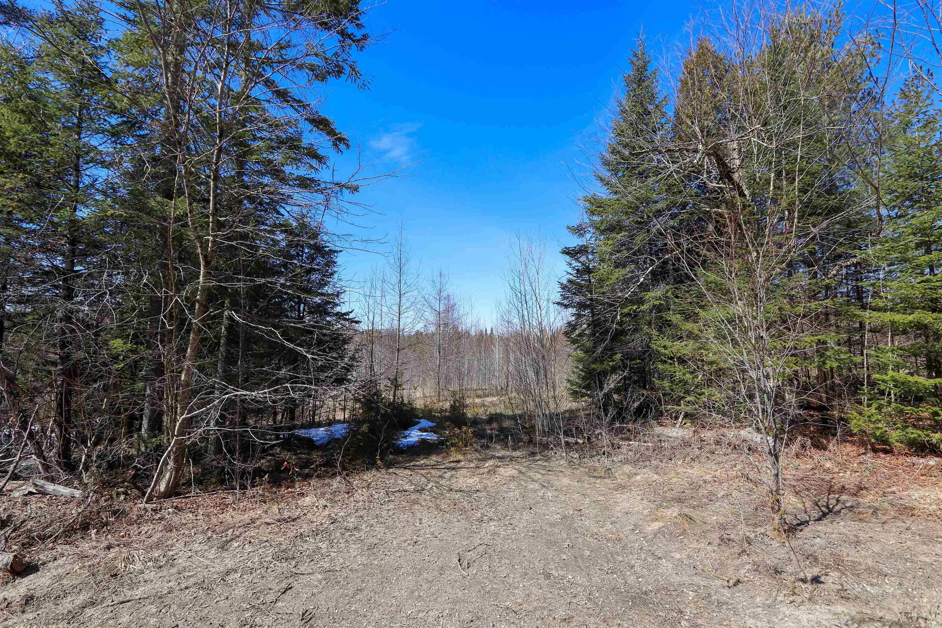 0 Burke Green Road Burke VT 05832