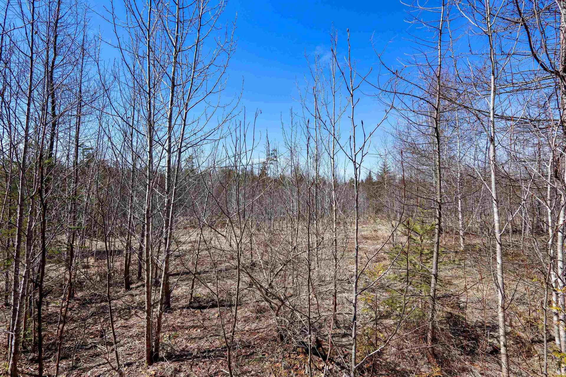 0 Burke Green Road Burke VT 05832