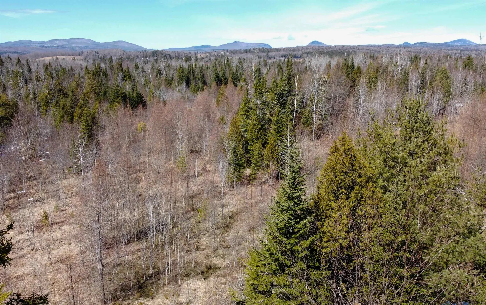 0 Burke Green Road Burke VT 05832