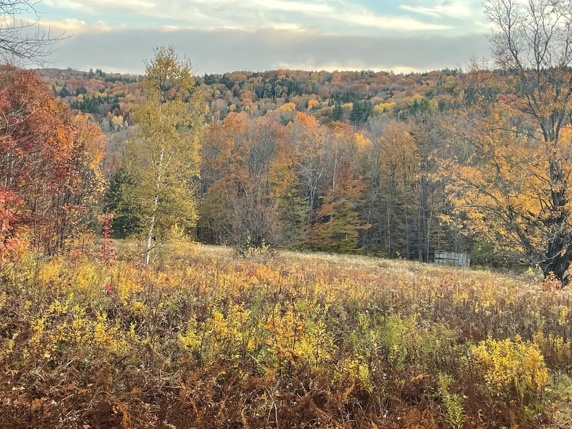 151 Holland Road Dover VT 05341