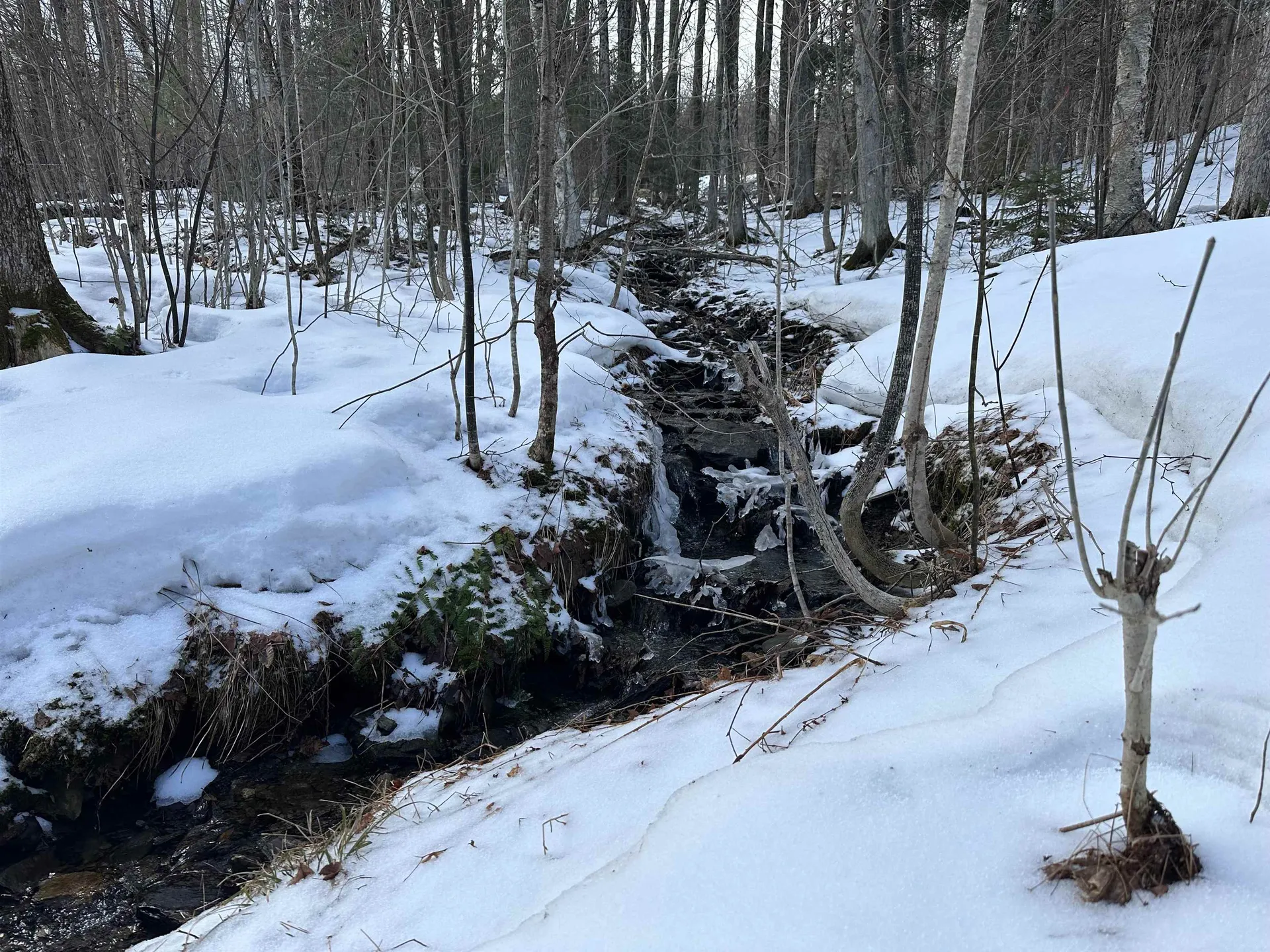 151 Holland Road Dover VT 05341