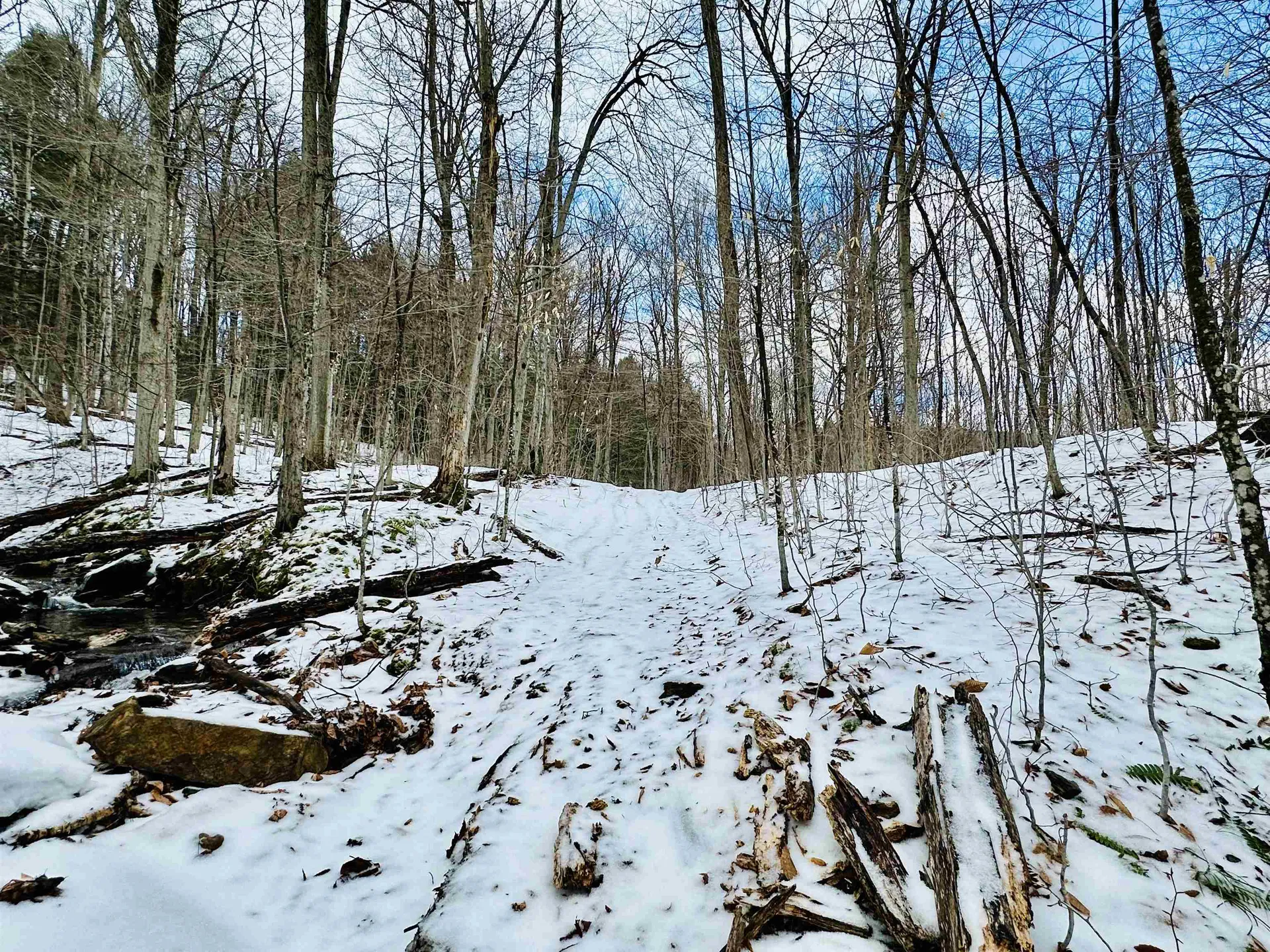 151 Holland Road Dover VT 05341