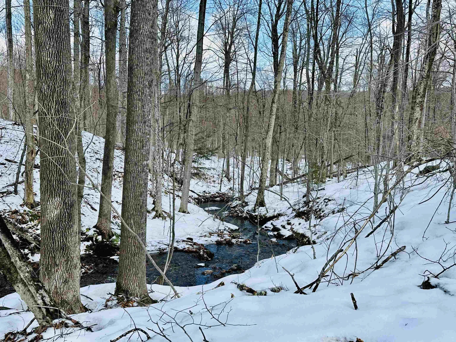 151 Holland Road Dover VT 05341