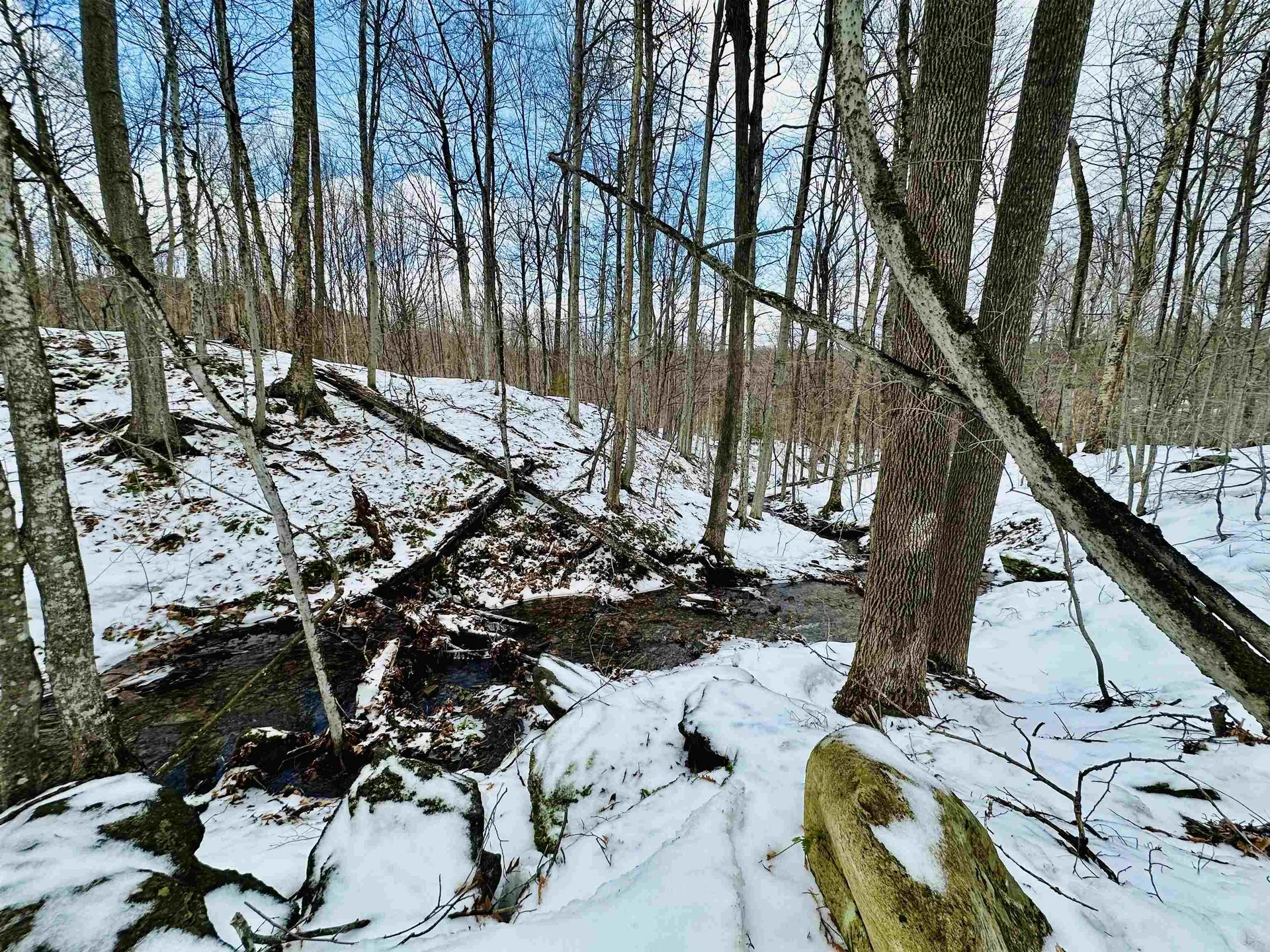 151 Holland Road Dover VT 05341