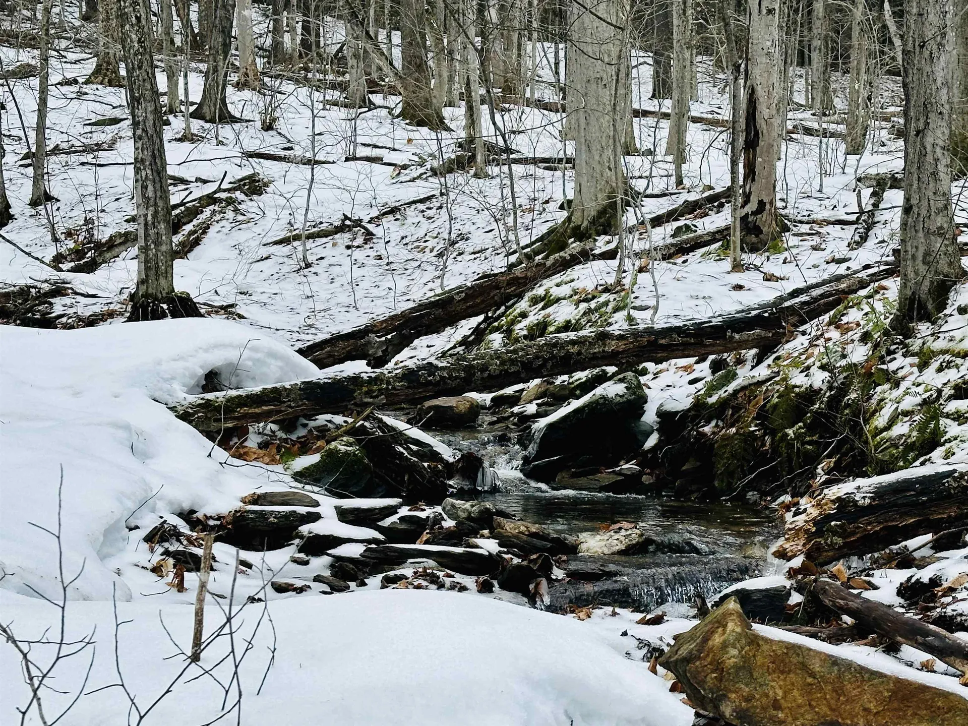 151 Holland Road Dover VT 05341