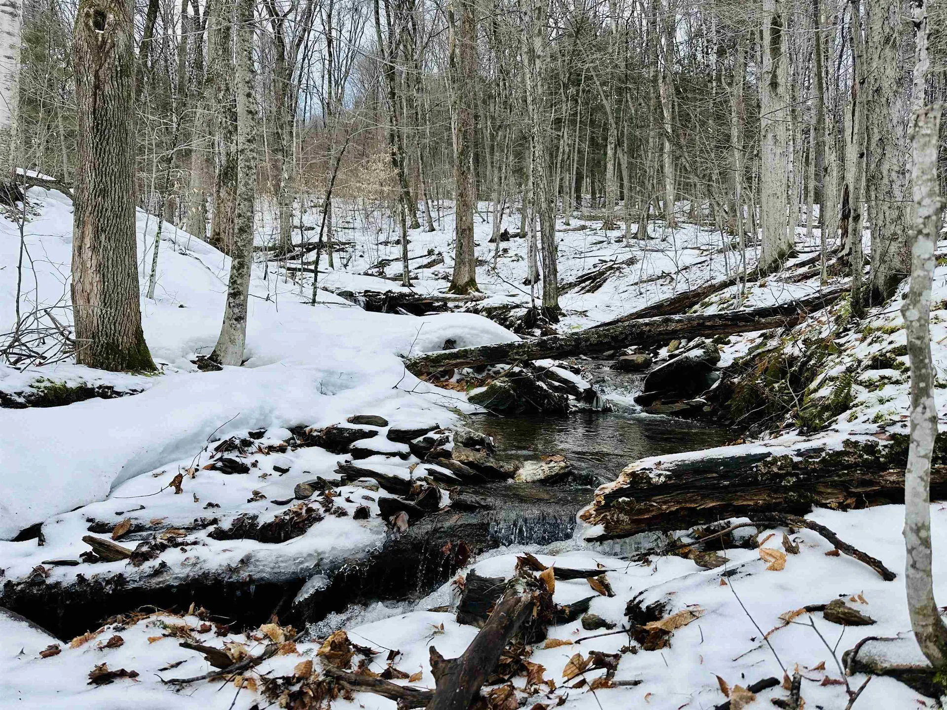 151 Holland Road Dover VT 05341