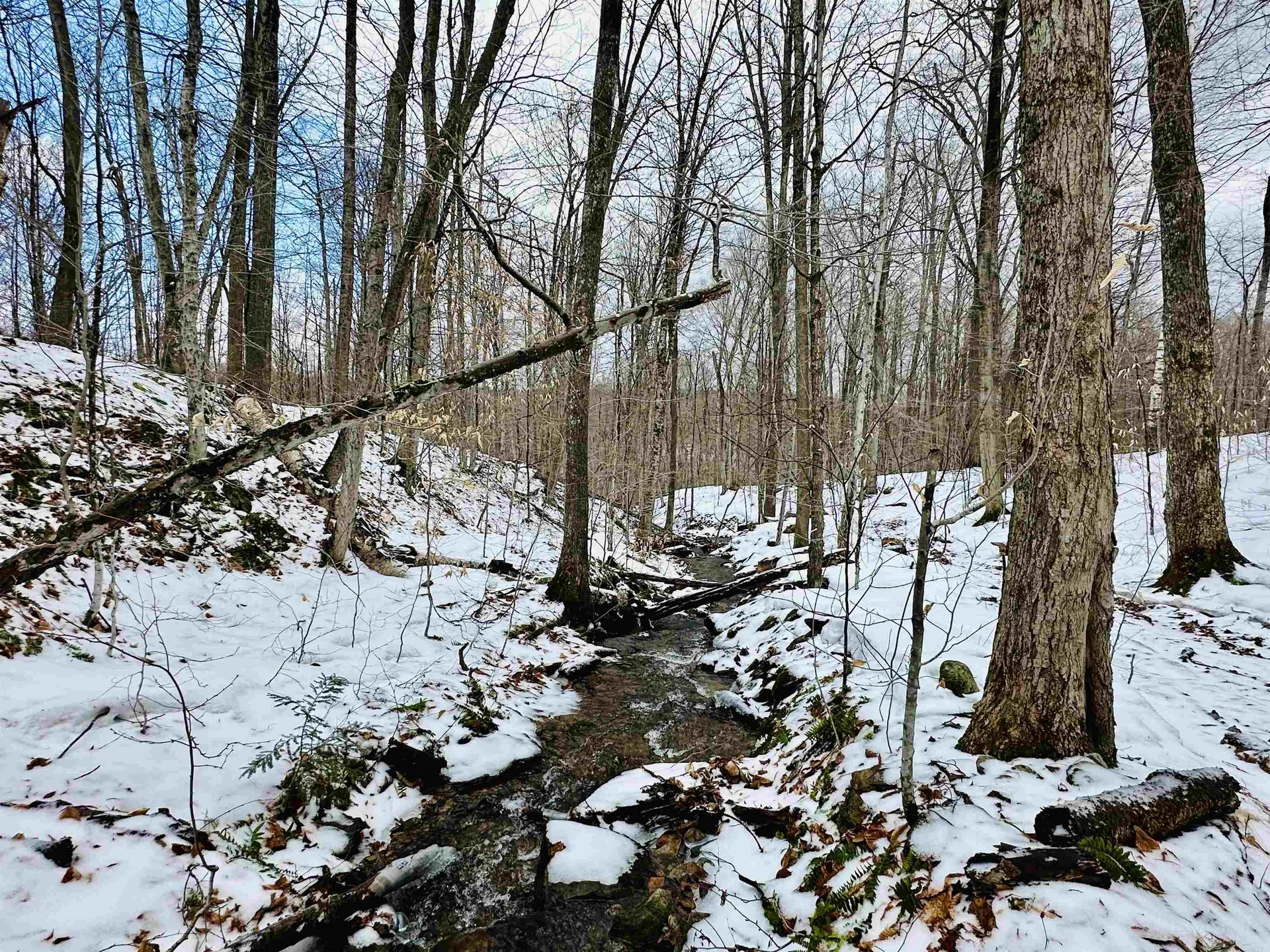 151 Holland Road Dover VT 05341