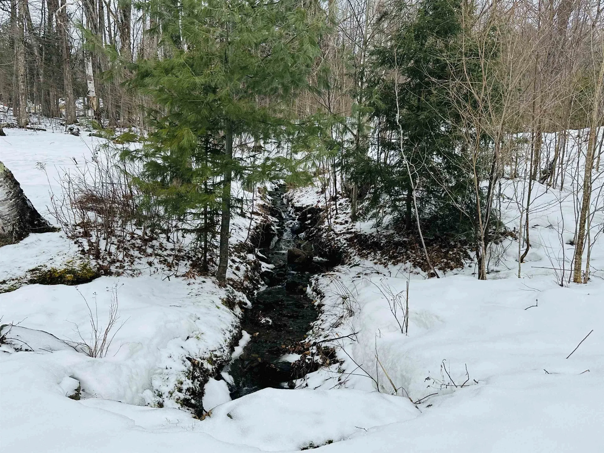 151 Holland Road Dover VT 05341