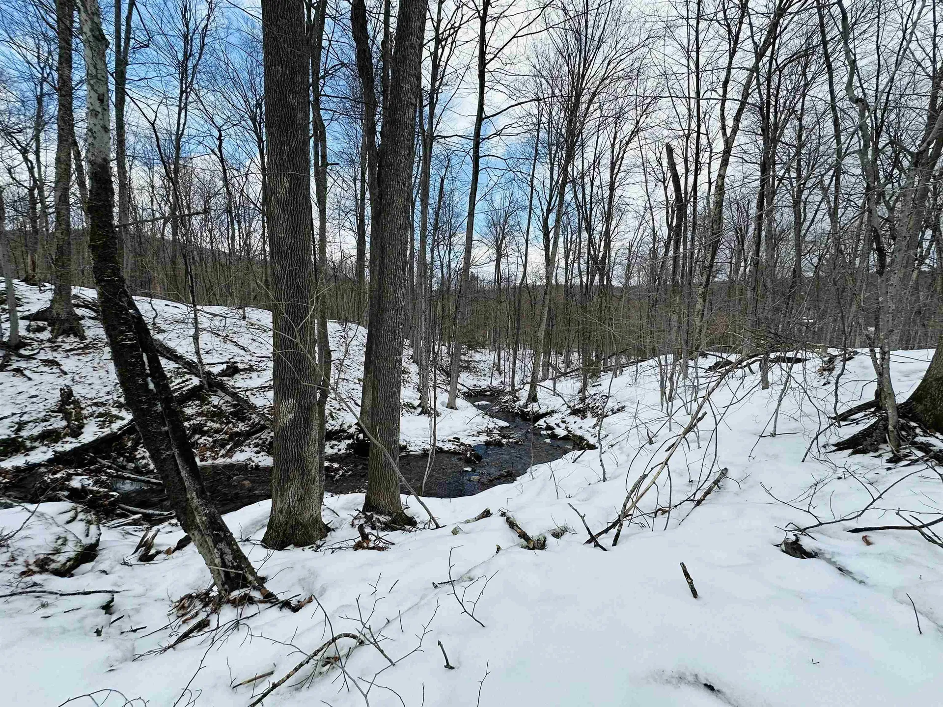 151 Holland Road Dover VT 05341