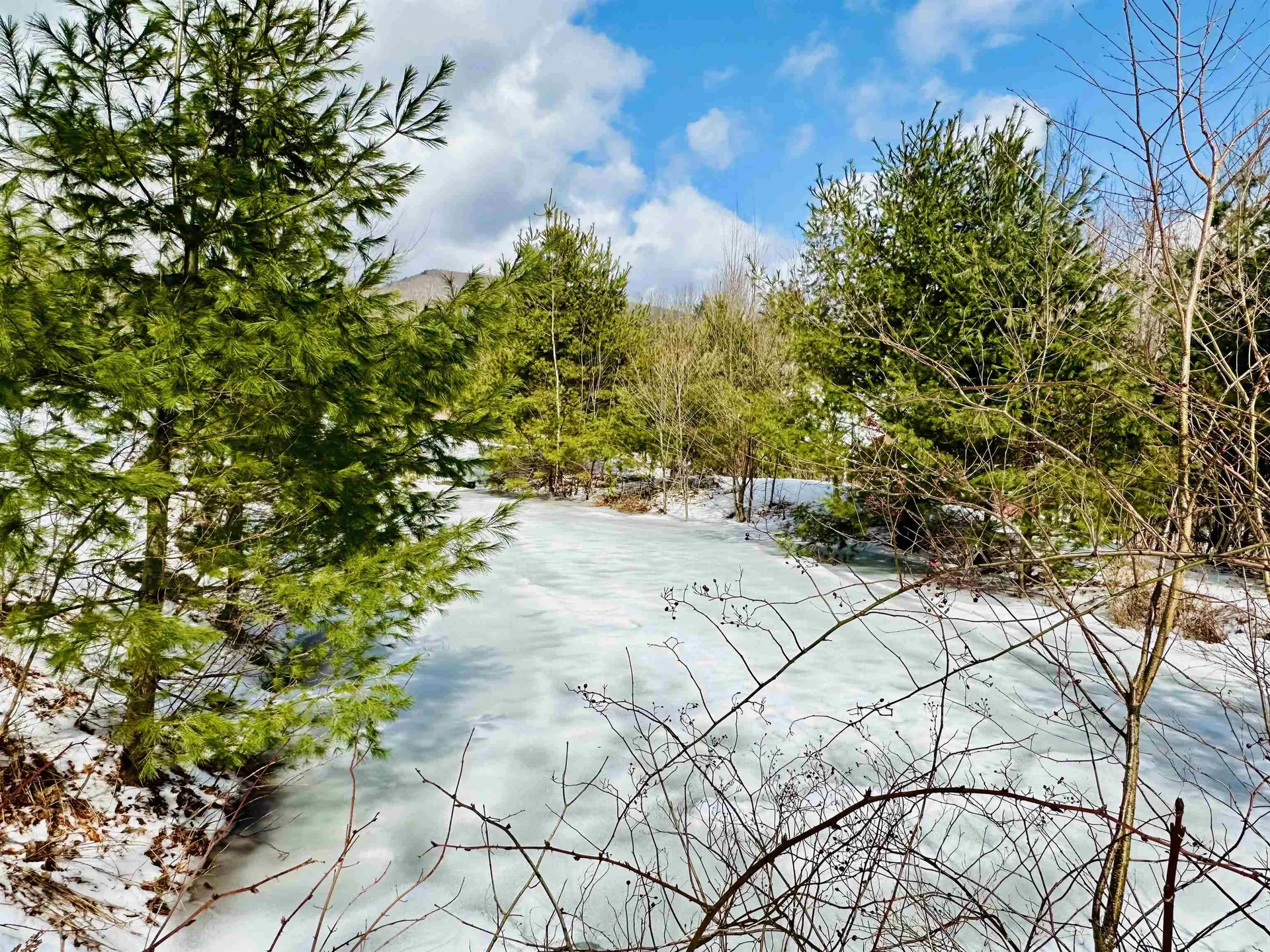 151 Holland Road Dover VT 05341