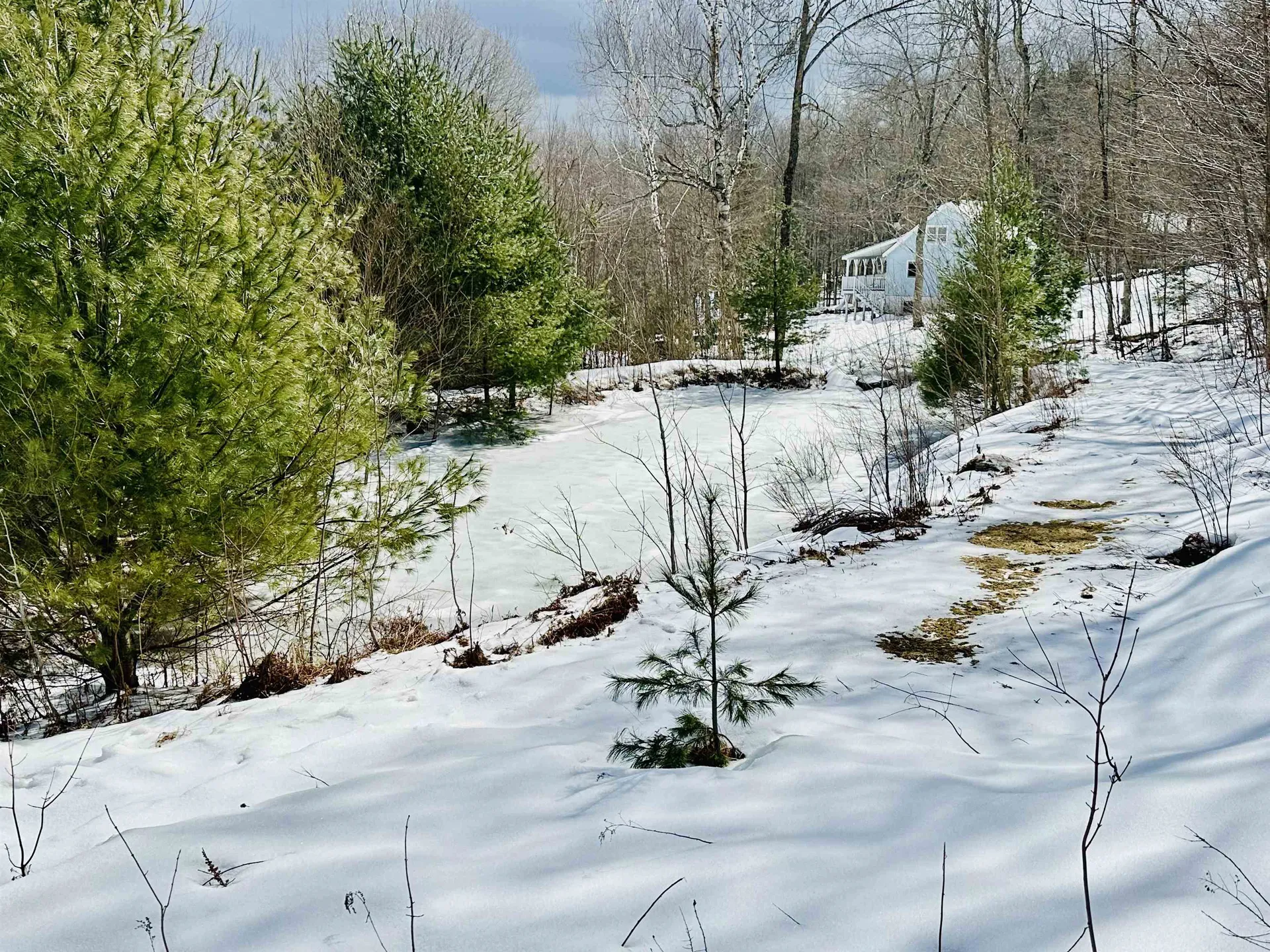 151 Holland Road Dover VT 05341