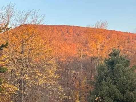 151 Holland Road Dover VT 05341