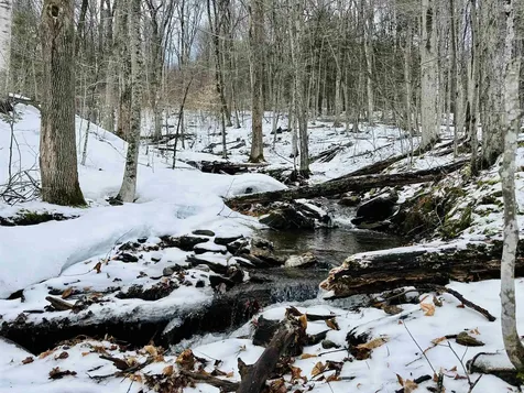 151 Holland Road Dover VT 05341