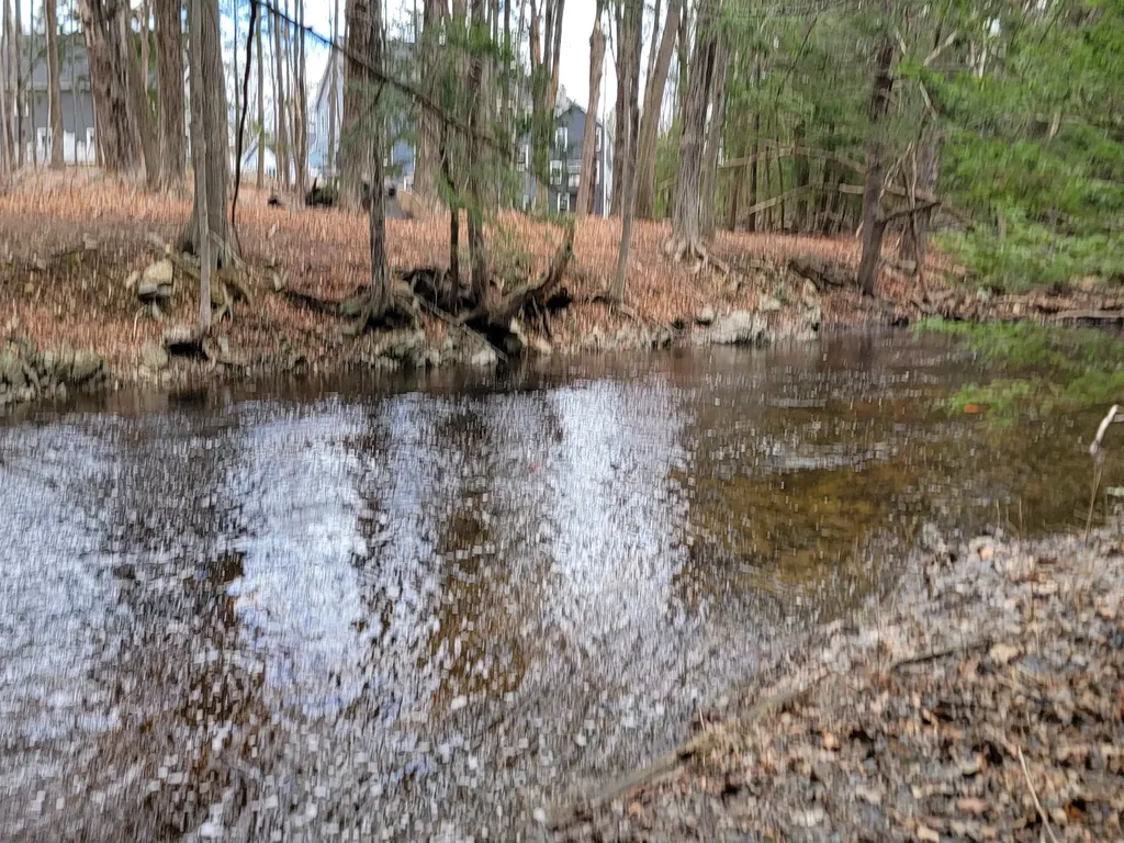 12 Zeland Drive Dover NH 03820