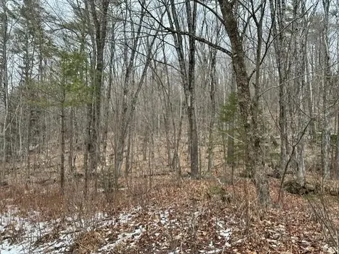 10-3-18 Myrtle Street Campton NH 03223