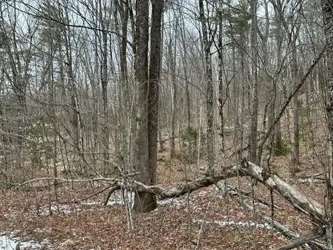 10-3-18 Myrtle Street Campton NH 03223