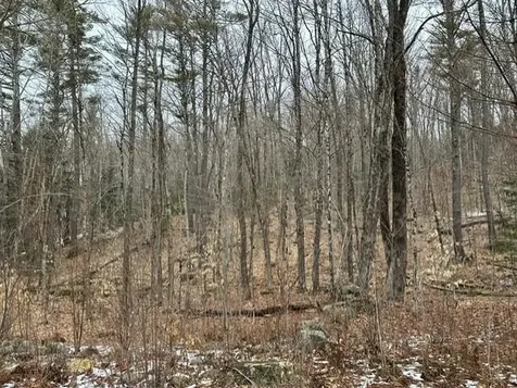 10-3-18 Myrtle Street Campton NH 03223