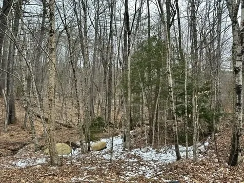 10-3-18 Myrtle Street Campton NH 03223