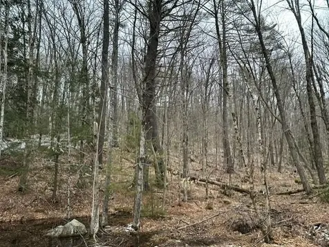 10-3-18 Myrtle Street Campton NH 03223