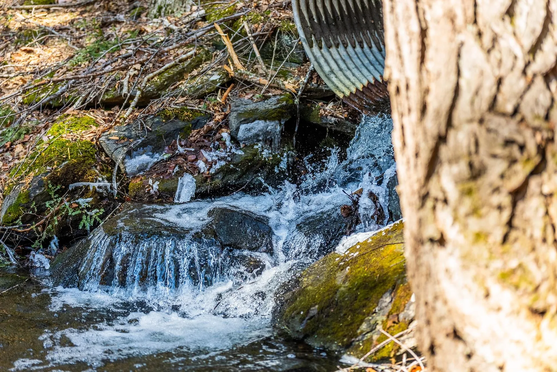 5209 5211 Willard Road Hartford VT 05059