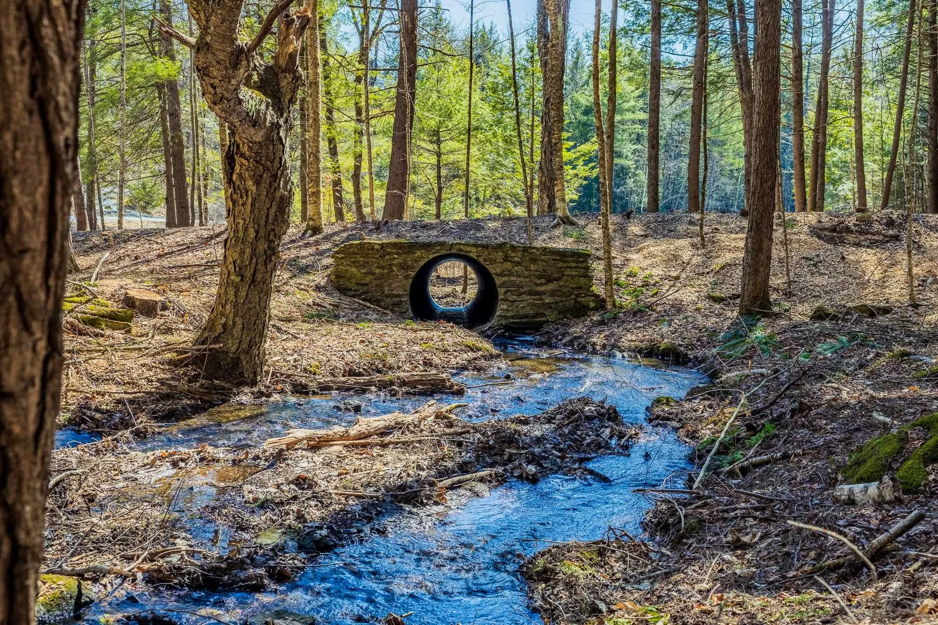 5209 5211 Willard Road Hartford VT 05059