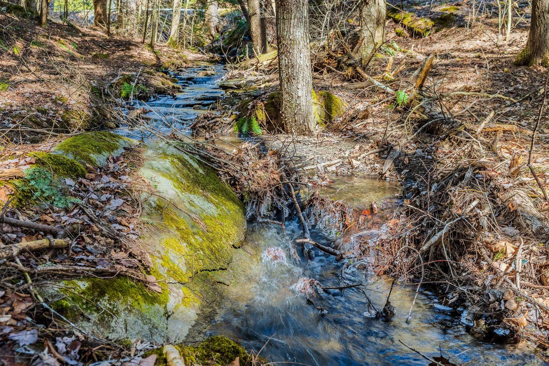 5209 5211 Willard Road Hartford VT 05059