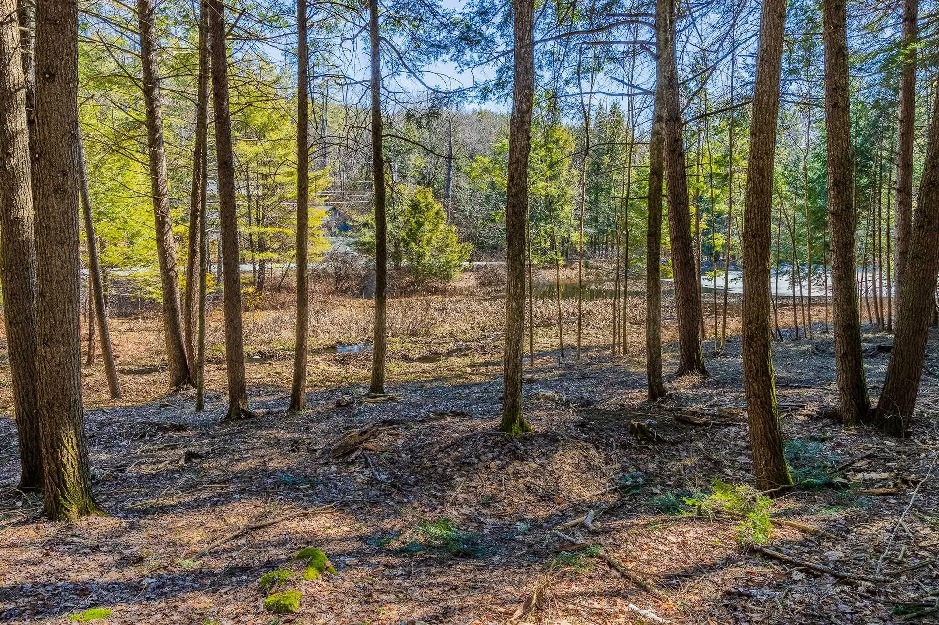 5209 5211 Willard Road Hartford VT 05059