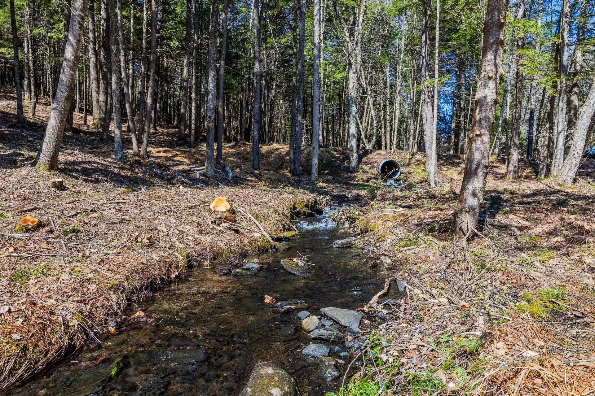 5209 5211 Willard Road Hartford VT 05059