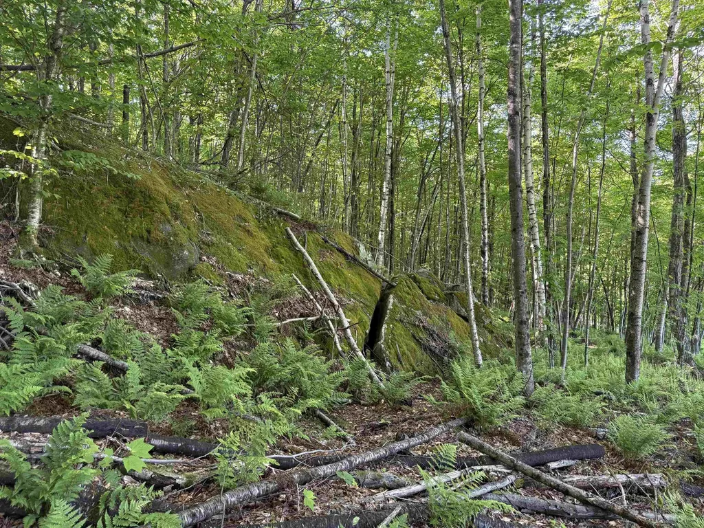 - Foliage Lane Westmore VT 05822
