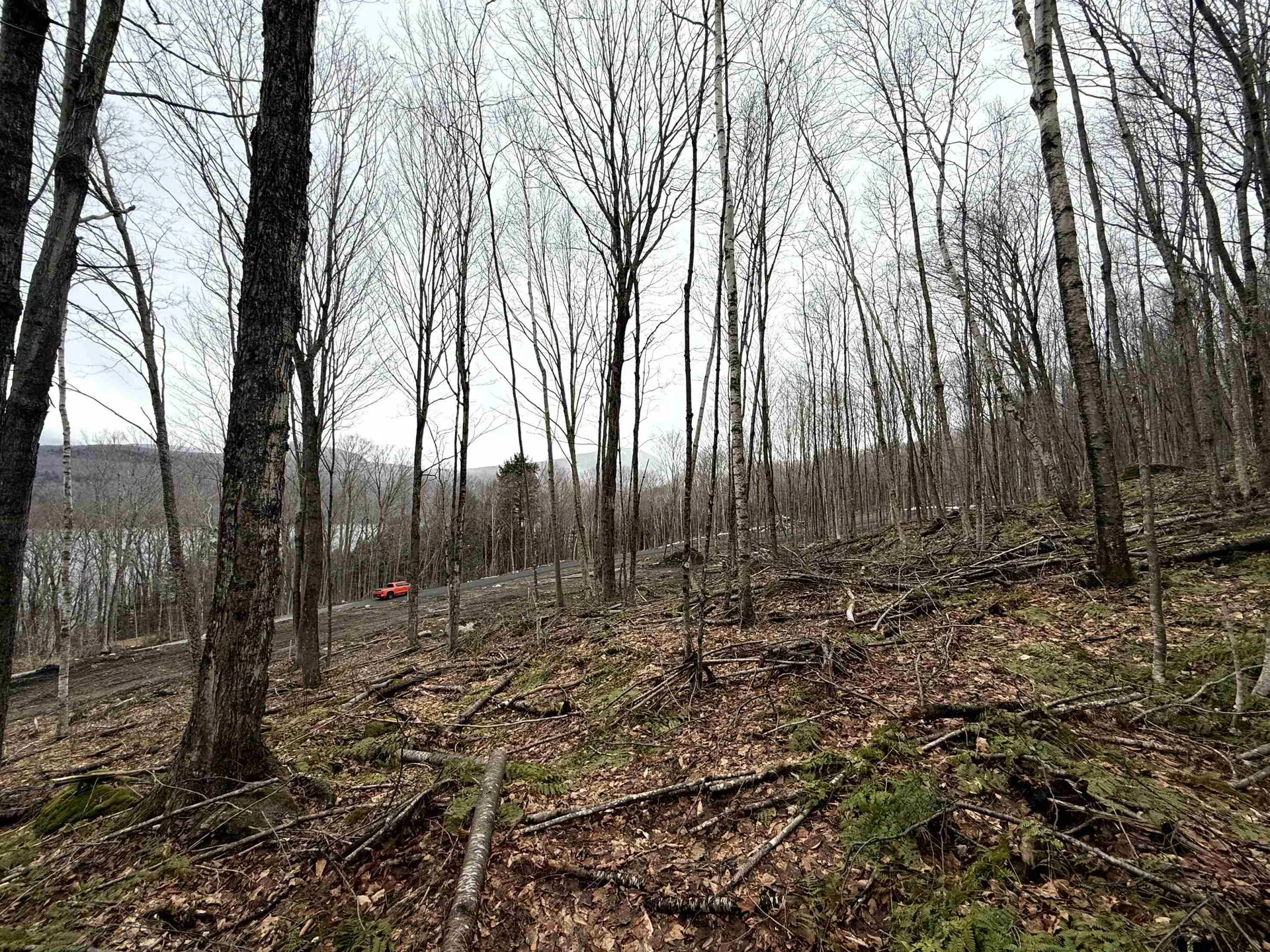 - Foliage Lane Westmore VT 05822