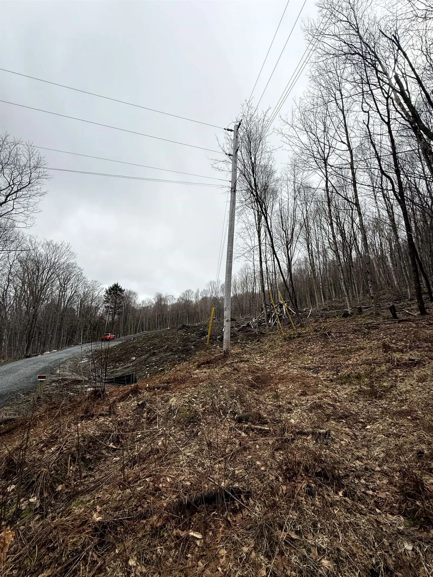 - Foliage Lane Westmore VT 05822