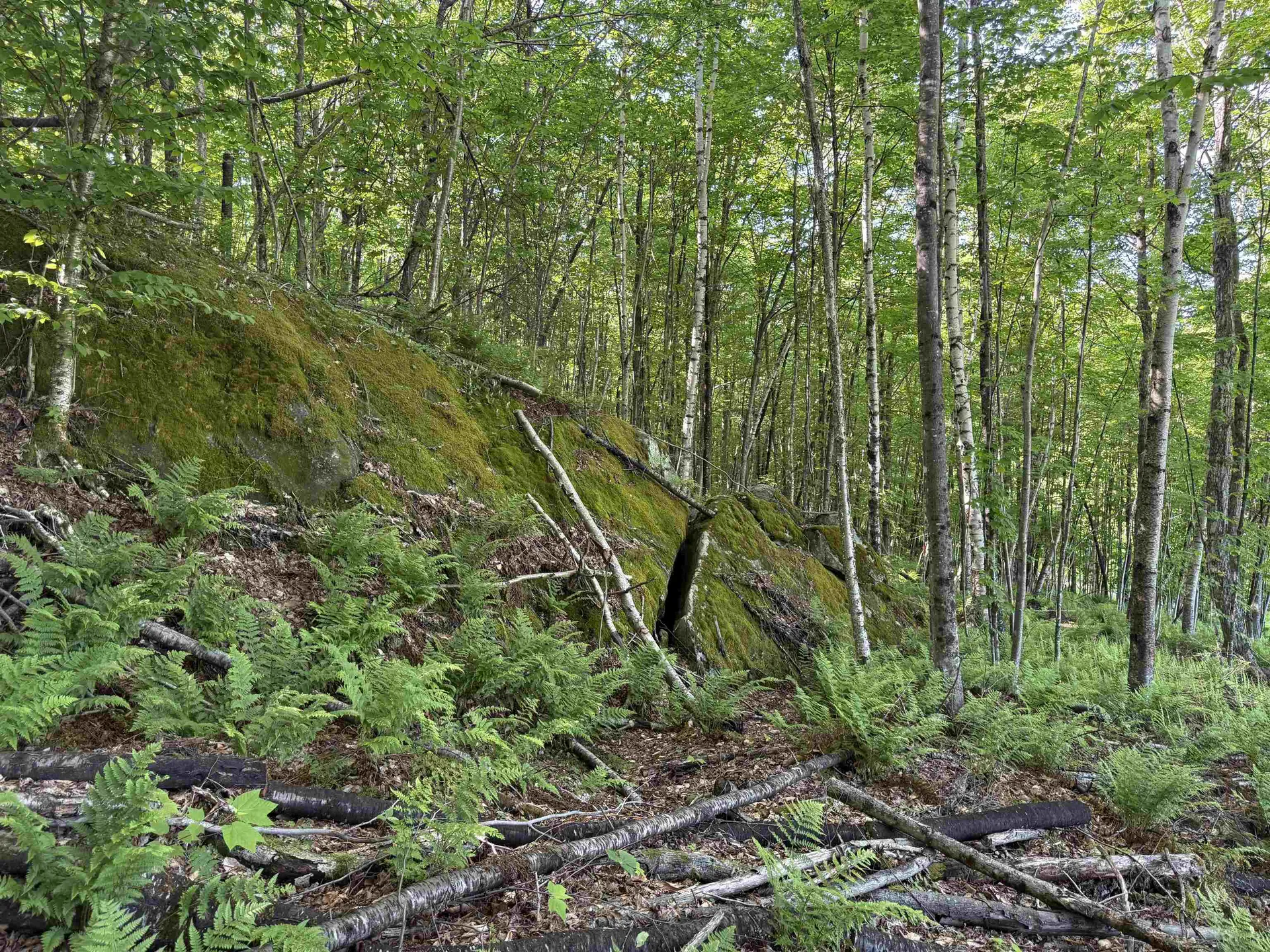 - Foliage Lane Westmore VT 05822