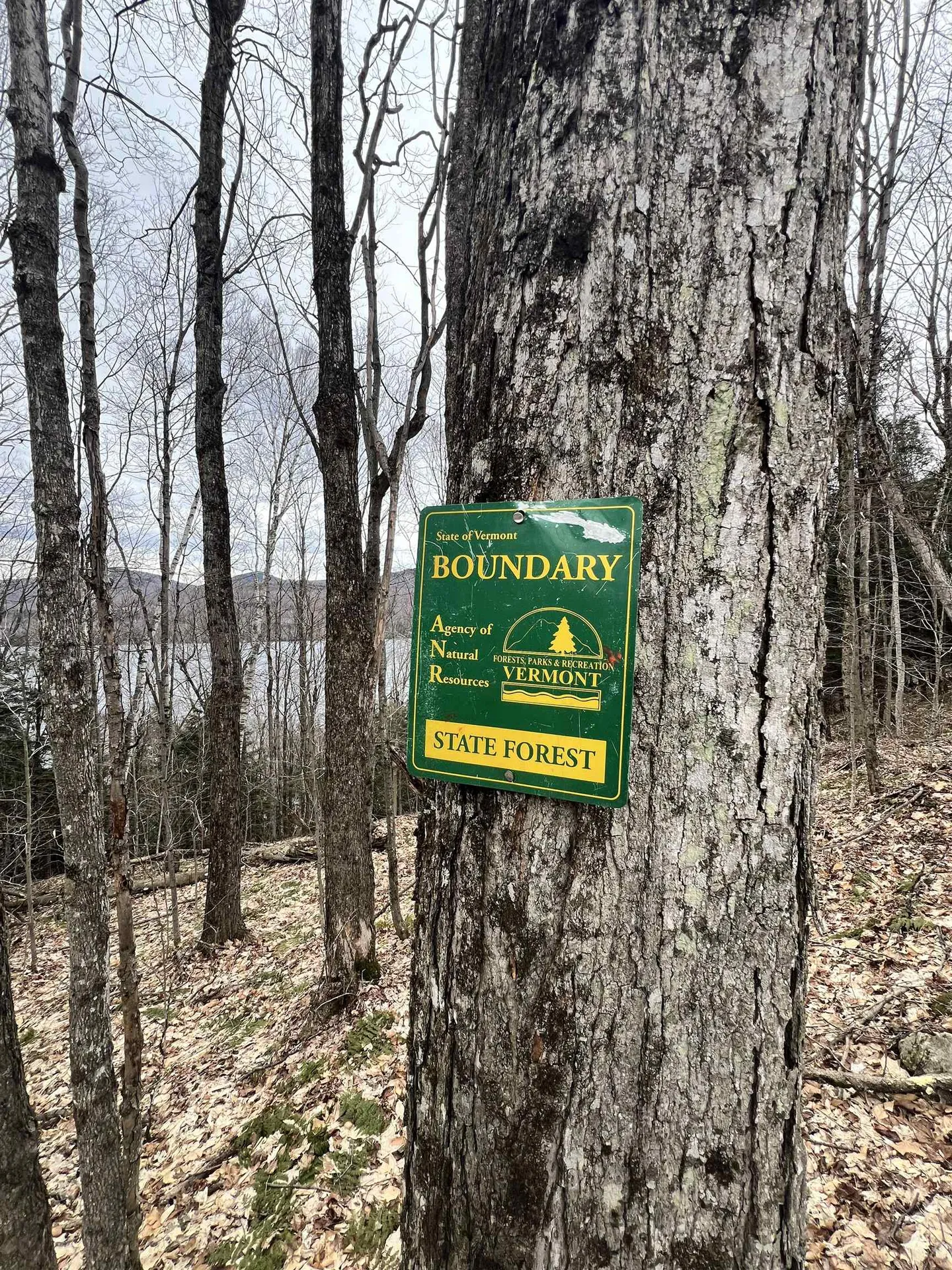 - Foliage Lane Westmore VT 05822