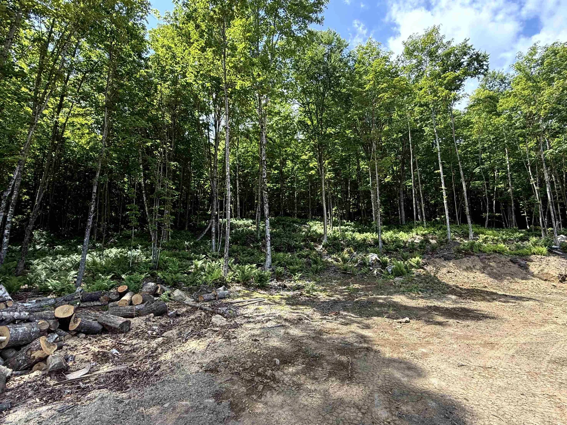 - Foliage Lane Westmore VT 05822