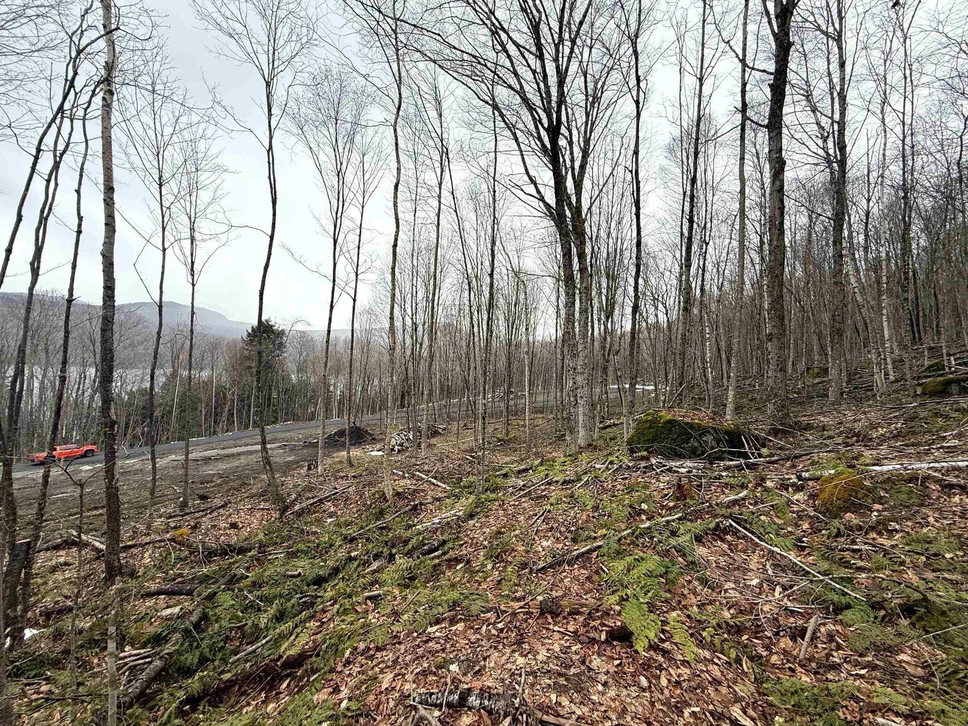 - Foliage Lane Westmore VT 05822