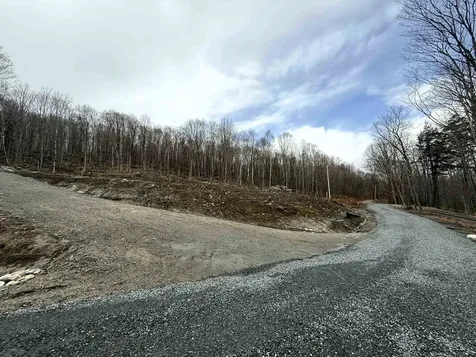 - Foliage Lane Westmore VT 05822