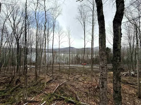 - Foliage Lane Westmore VT 05822