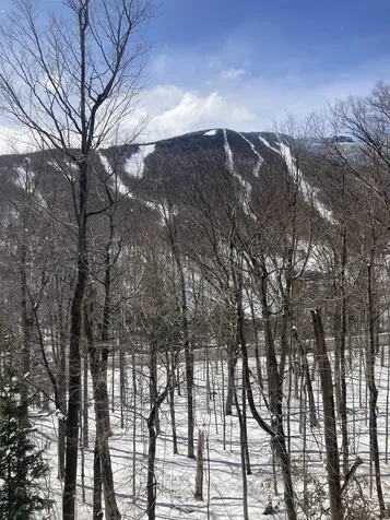 7412 Mountain Road Stowe VT 05672