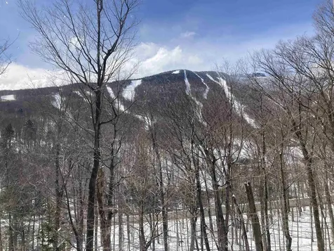7412 Mountain Road Stowe VT 05672