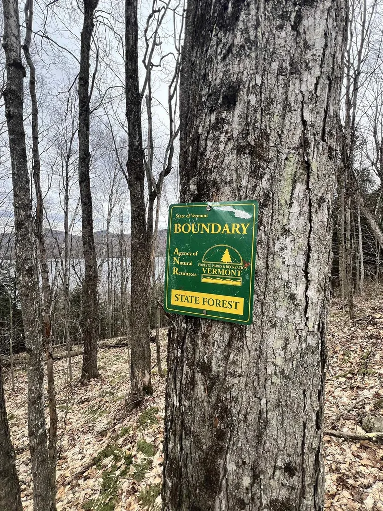 2 Foliage Lane Westmore VT 05822