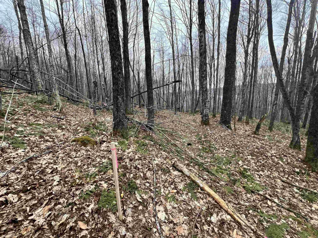 2 Foliage Lane Westmore VT 05822