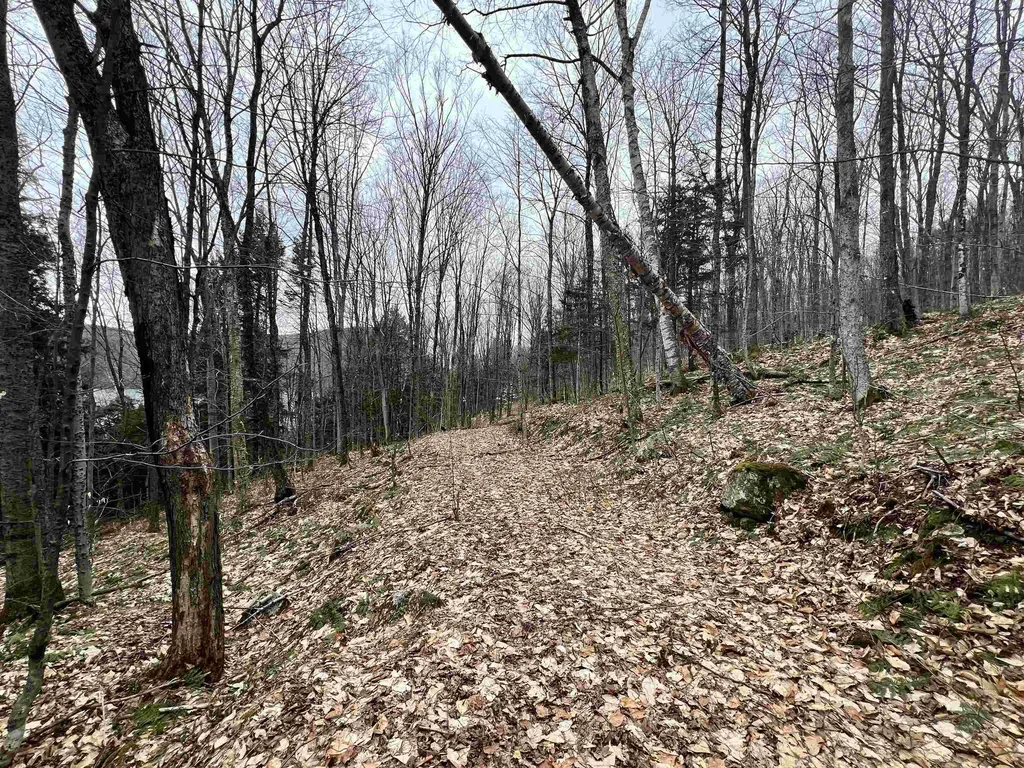 2 Foliage Lane Westmore VT 05822