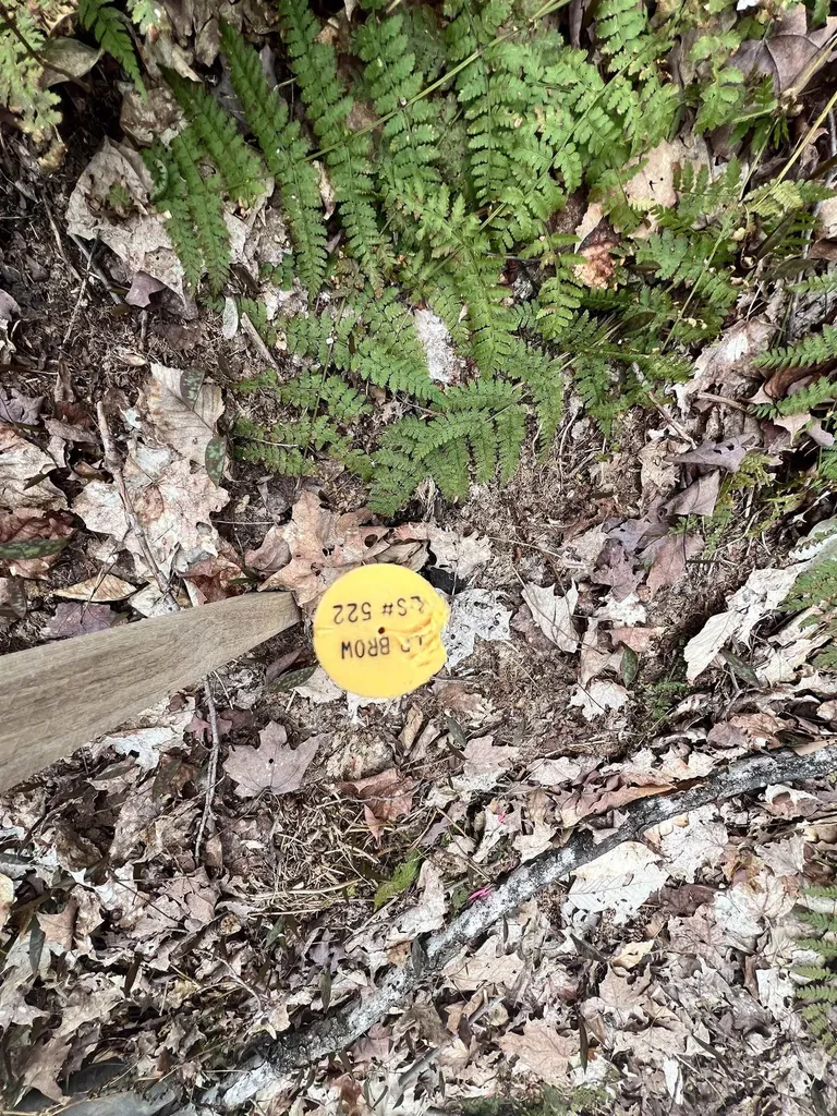 2 Foliage Lane Westmore VT 05822