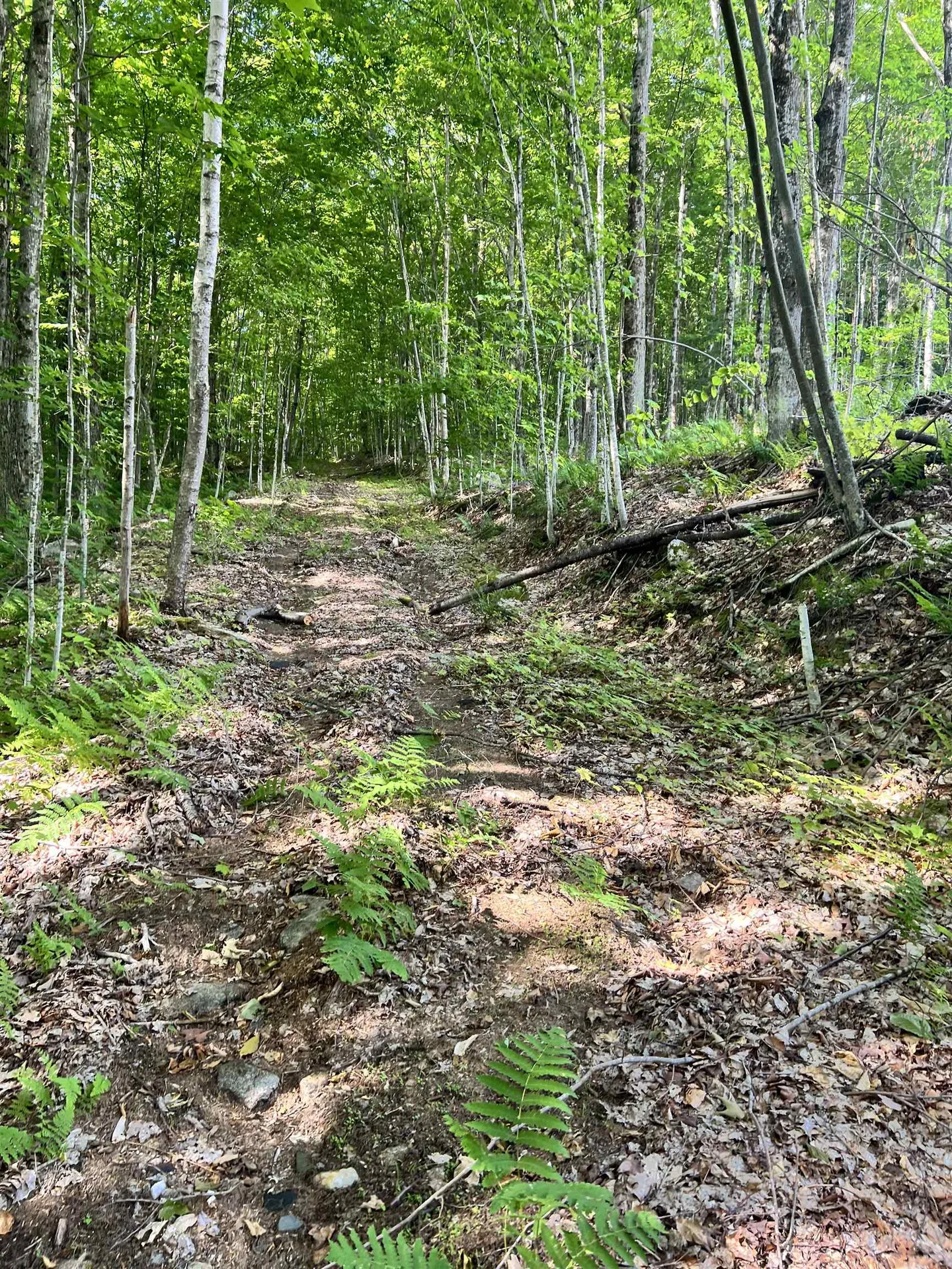 2 Foliage Lane Westmore VT 05822