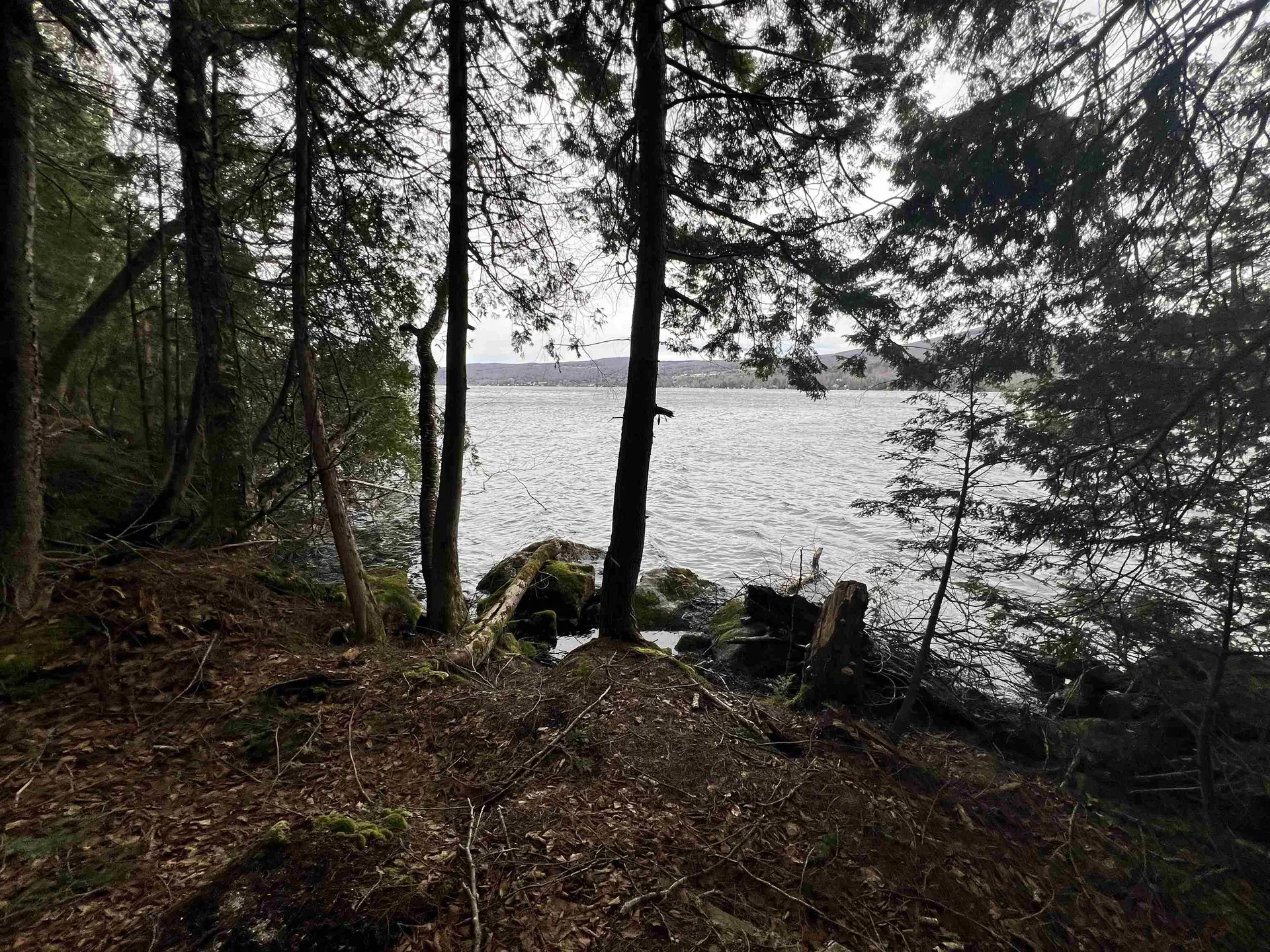 2 Foliage Lane Westmore VT 05822